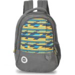 Skybags Bro 25 Ltrs Grey Casual Backpack