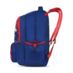 skybags bag for school