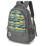 Skybags Bro 25 Ltrs Grey Casual Backpack