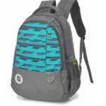 Skybags Bro 25 Ltrs Blue Casual Backpack